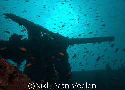 Gun on the Thistlegorm taken with SP350. by Nikki Van Veelen 